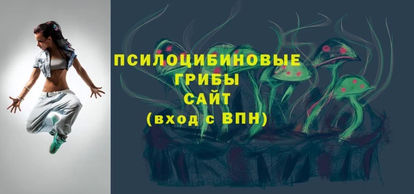 эйфоретик Алзамай