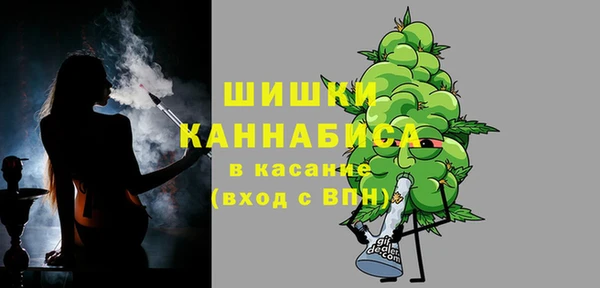 гашик Арсеньев