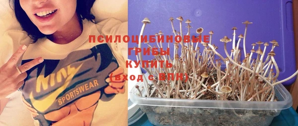 прущий лед Аркадак
