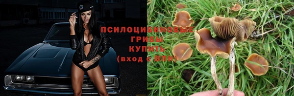 гашик Арсеньев