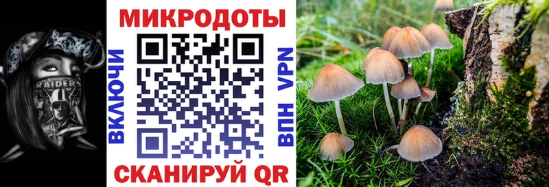 Галлюциногенные грибы Magic Shrooms  блэк спрут зеркало  Боготол 